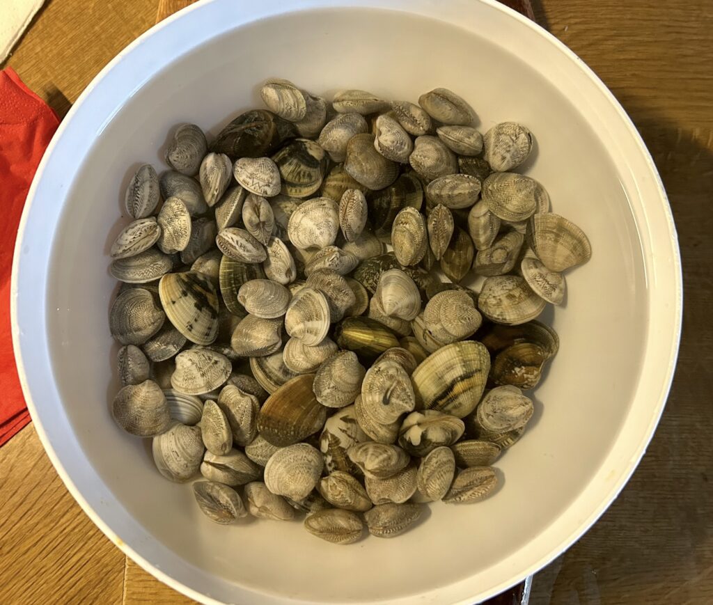 purge the sand from the clams